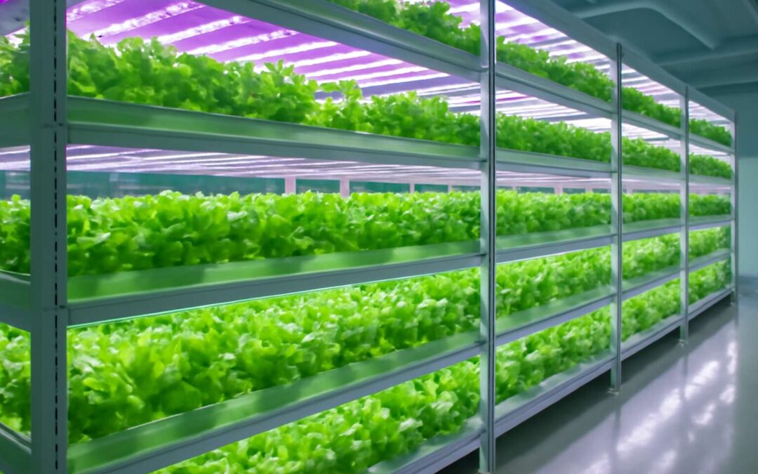 Boost yields with hydroponics farming practices for a greener, cleaner harvest.