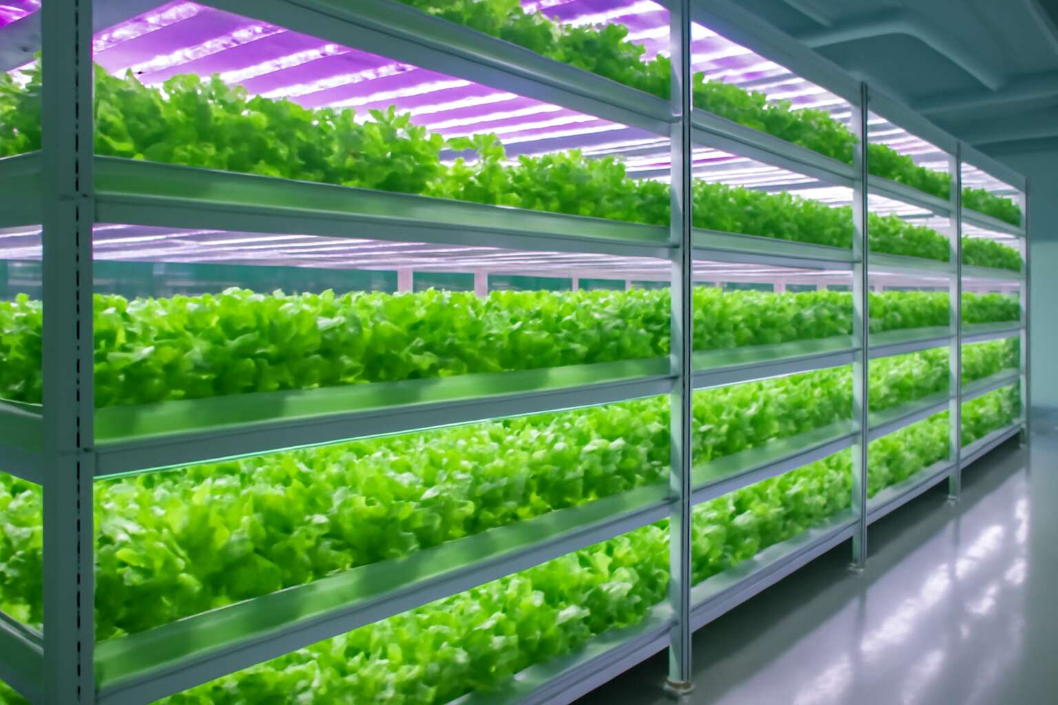 hydroponics farming practices