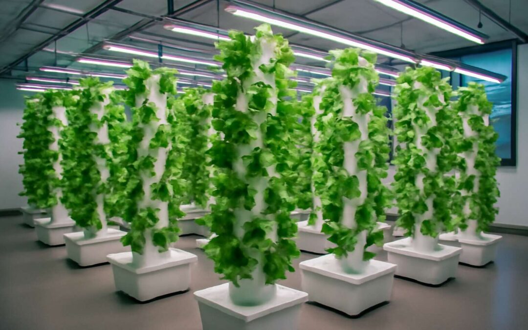 Discover hydroponics joondalup: grow greener in Joondalup today
