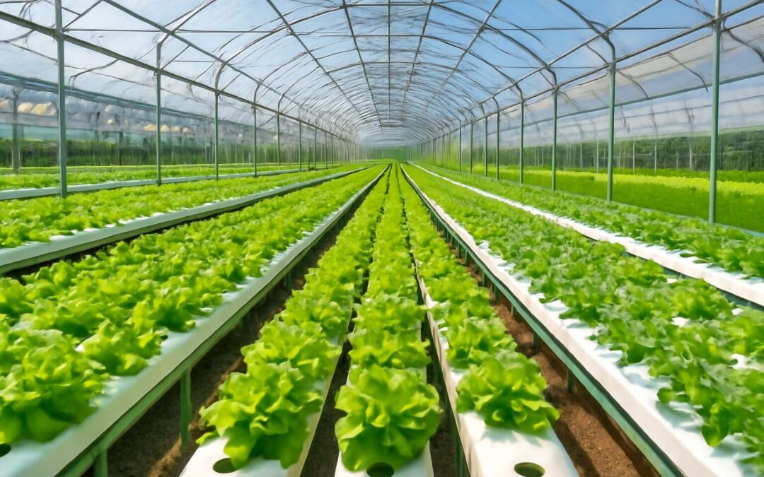 Urban farming blooms with hydroponic system thailand delivering year-round fresh produce