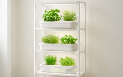 Build a sleek hydroponic system ikea setup for fresh greens at home