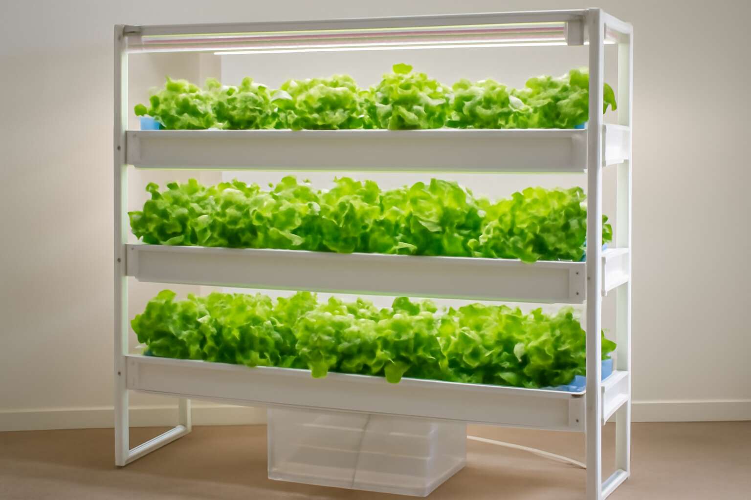 hydroponic system build